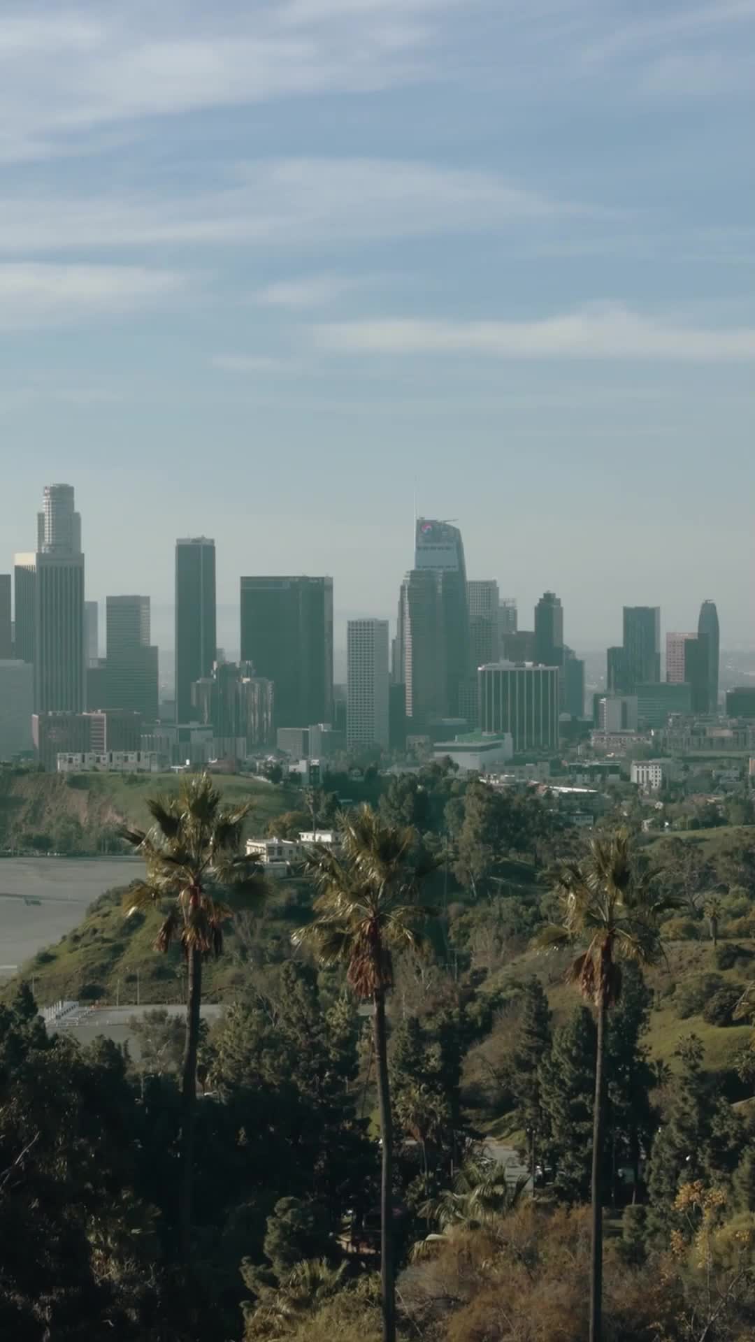 60 серия - Босс сошёл с ума по мне